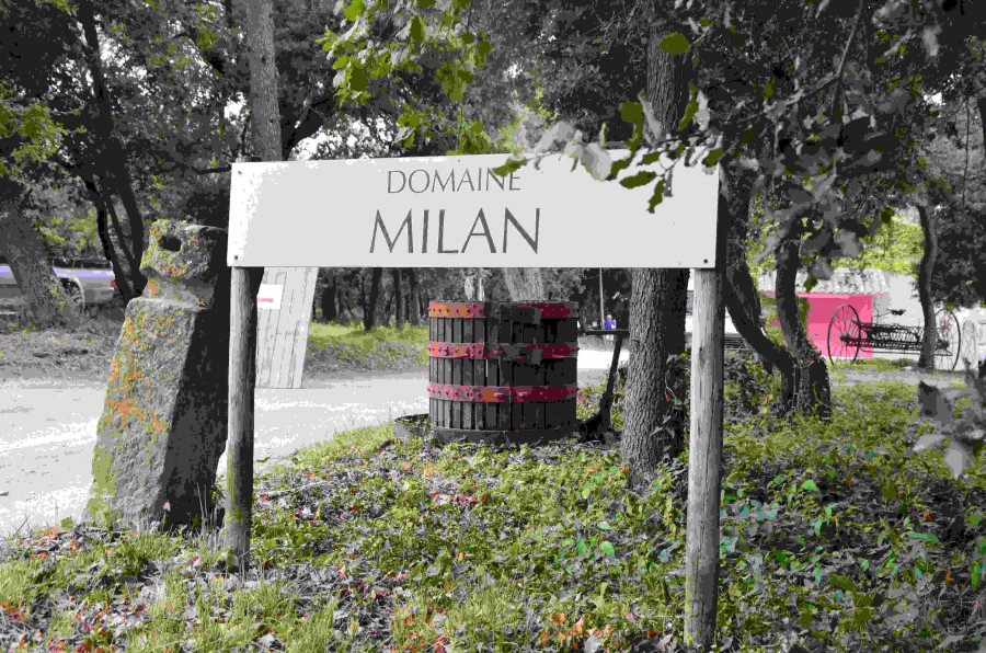 Domaine Milan, Saint-Rémy-de-Provence
