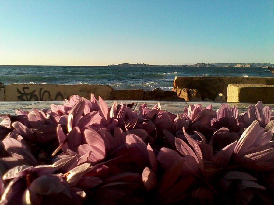 13’or Rouge, passion safranée