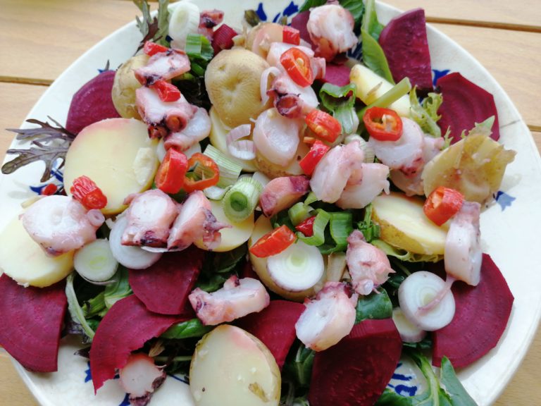 Recette salade poulpe