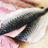 Mélange Gourmand : Poulpe, maquereaux, saumon tradition et gravlax 150g – Image 2