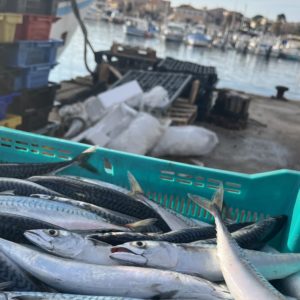 Chaque mois : poisson fumé et poisson frais