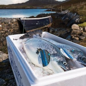 Chaque mois : poisson fumé et poisson frais - tout saumon