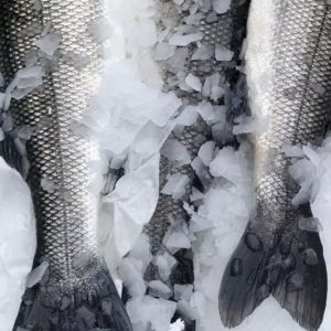 Supplément loups bio